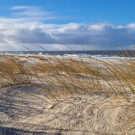 Vakantie-b'lankenberge The One *